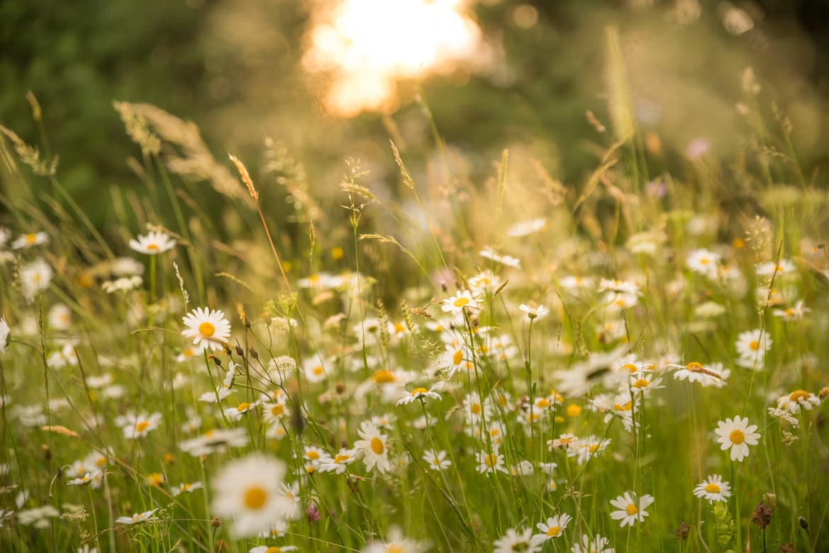 cremation services Northern Cambria PA