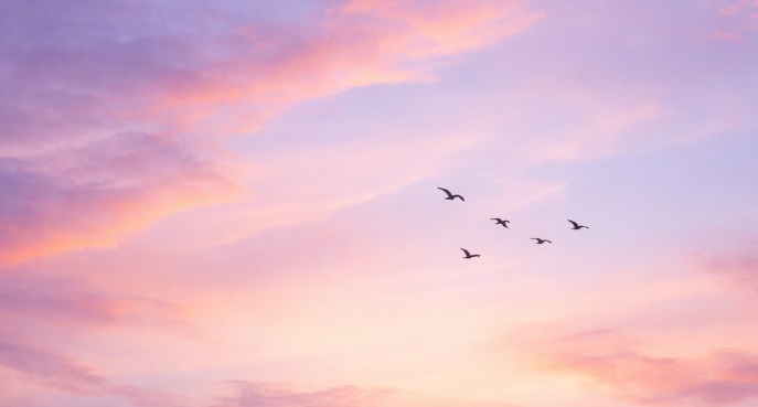 cremation services in Windber PA